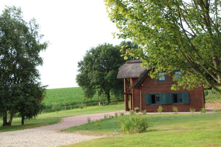 Chaumiere D'Albatre -Gite-Detente Nature Et Bien Etre Ourville-en-Caux Exteriör bild